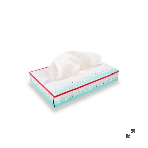 40 Pocket Size  Tissue  CardinalHealth 2-Ply tissues  5.7" x 7" case of 200 Box 